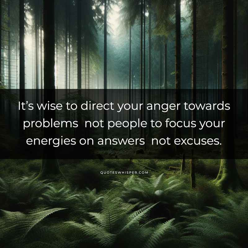 It’s wise to direct your anger towards problems not people to focus your energies on answers not excuses.