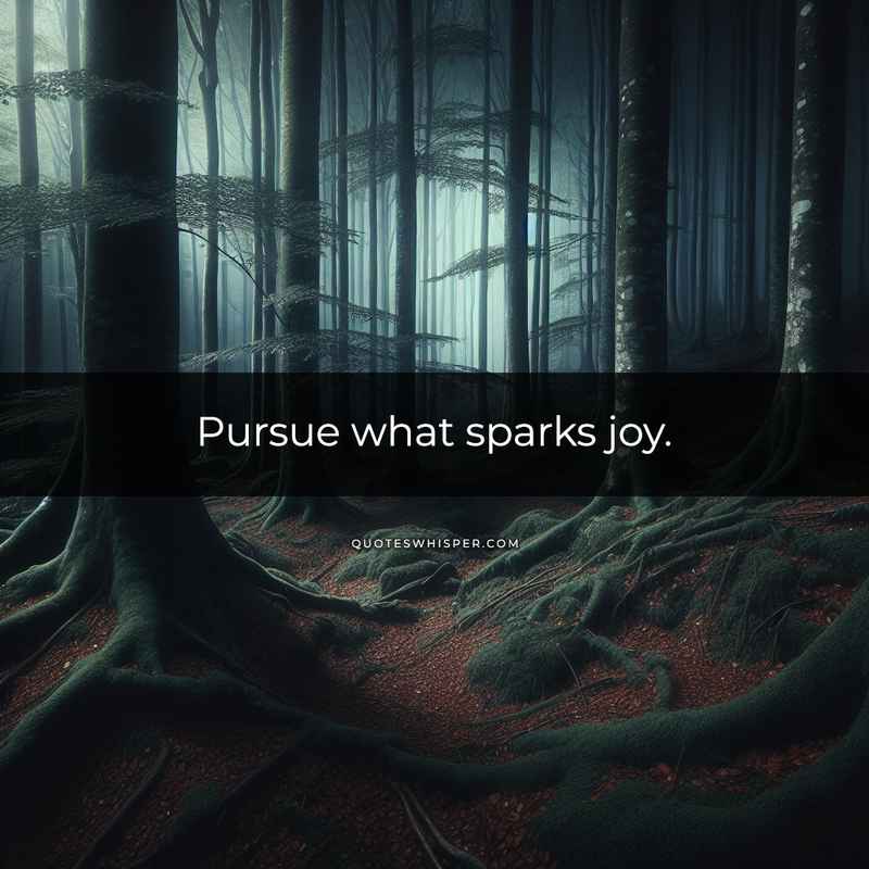 Pursue what sparks joy.