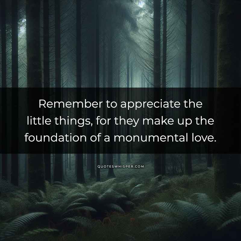 Remember to appreciate the little things, for they make up the foundation of a monumental love.