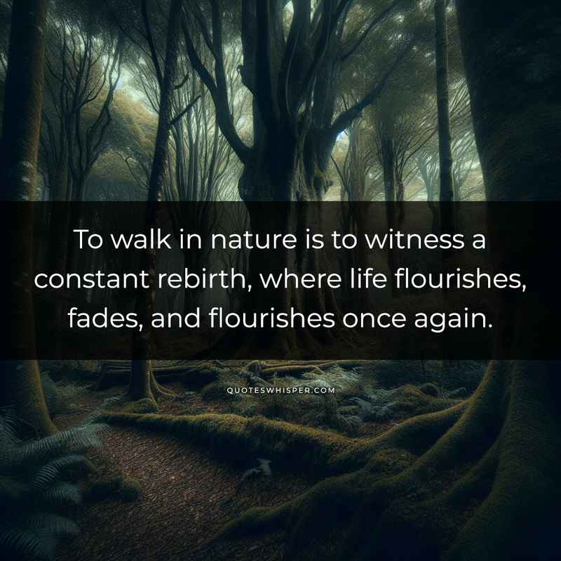To walk in nature is to witness a constant rebirth, where life flourishes, fades, and flourishes once again.