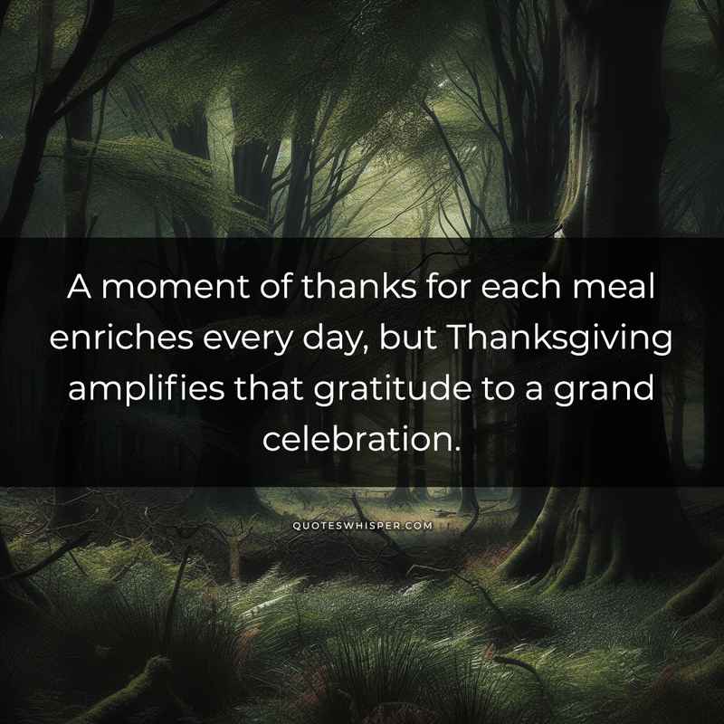 A moment of thanks for each meal enriches every day, but Thanksgiving amplifies that gratitude to a grand celebration.