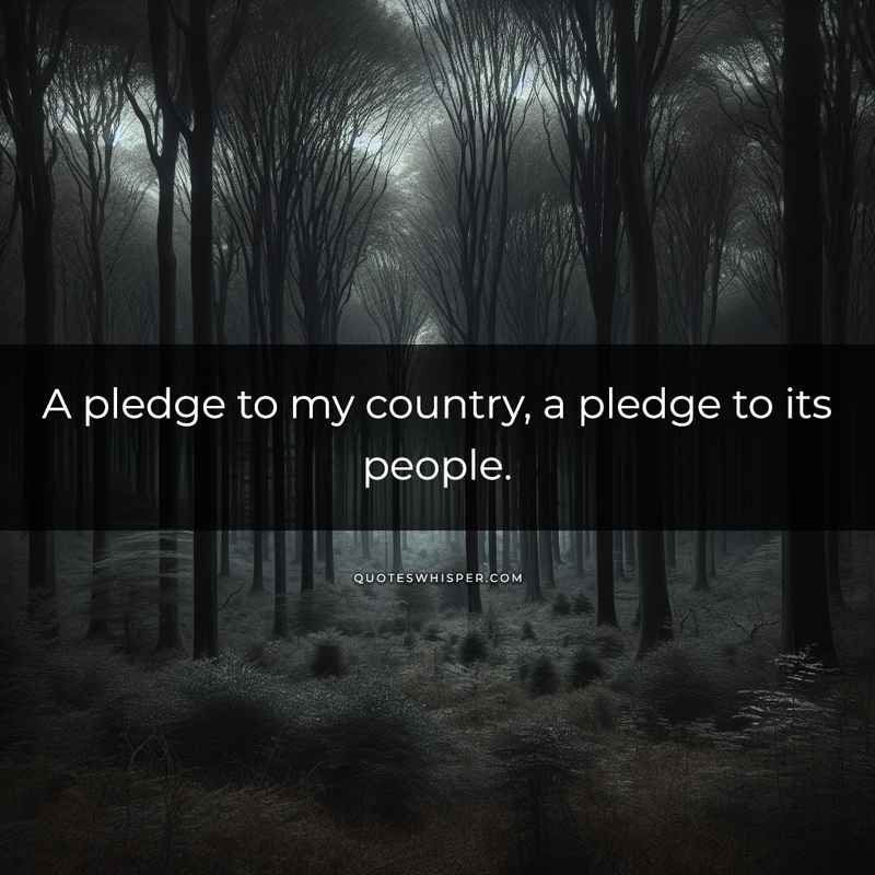 A pledge to my country, a pledge to its people.