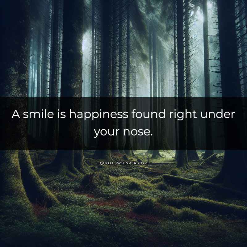 A smile is happiness found right under your nose.