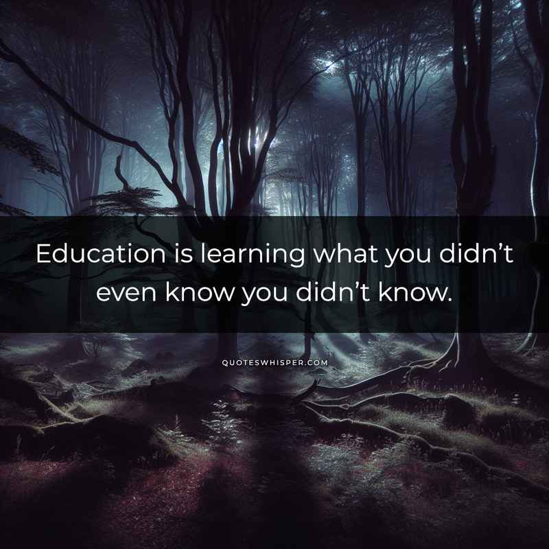 Education is learning what you didn’t even know you didn’t know.