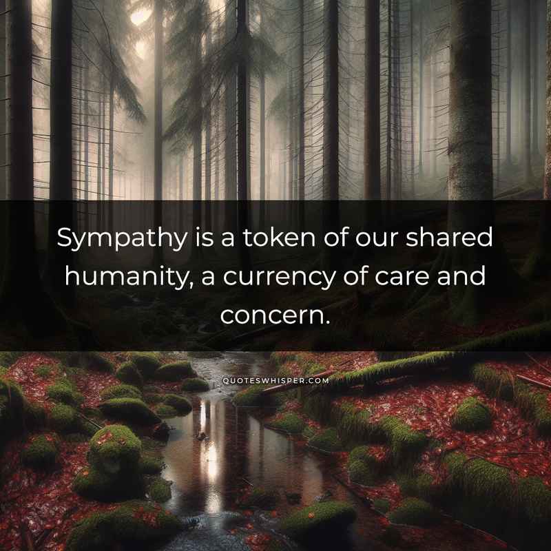 Sympathy is a token of our shared humanity, a currency of care and concern.
