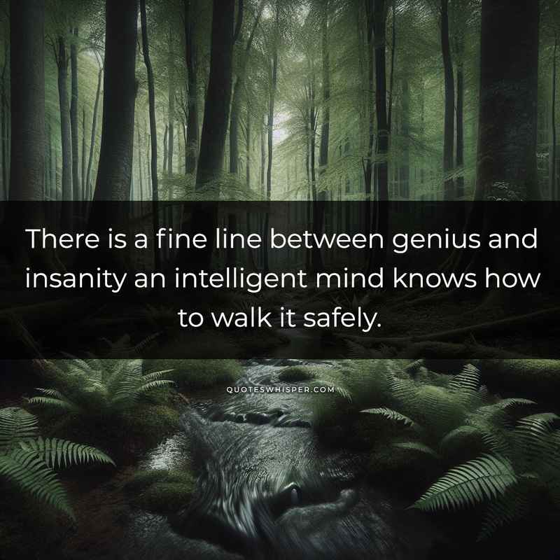 There is a fine line between genius and insanity an intelligent mind knows how to walk it safely.