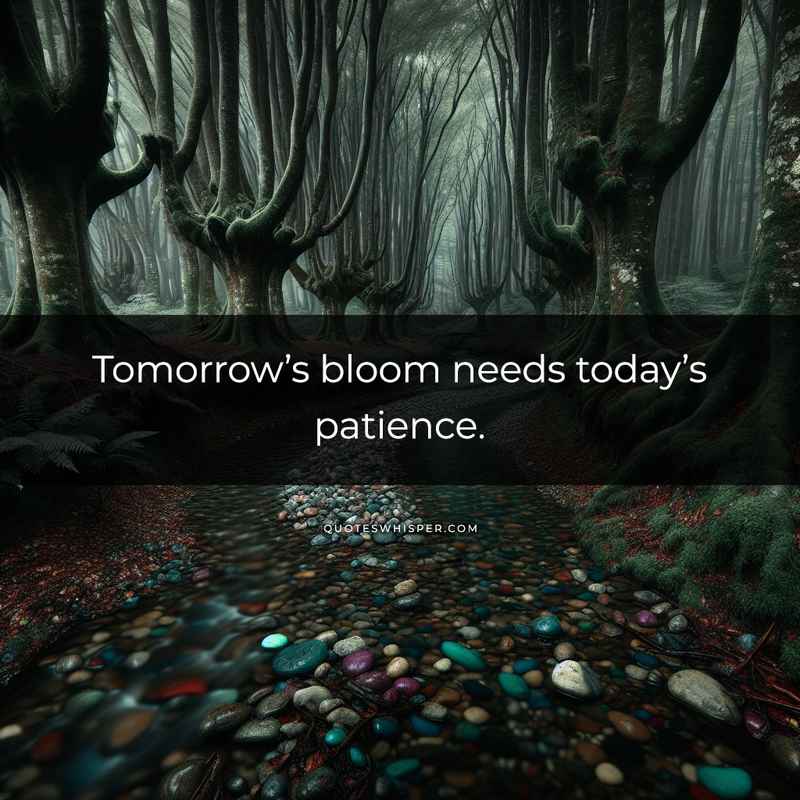 Tomorrow’s bloom needs today’s patience.