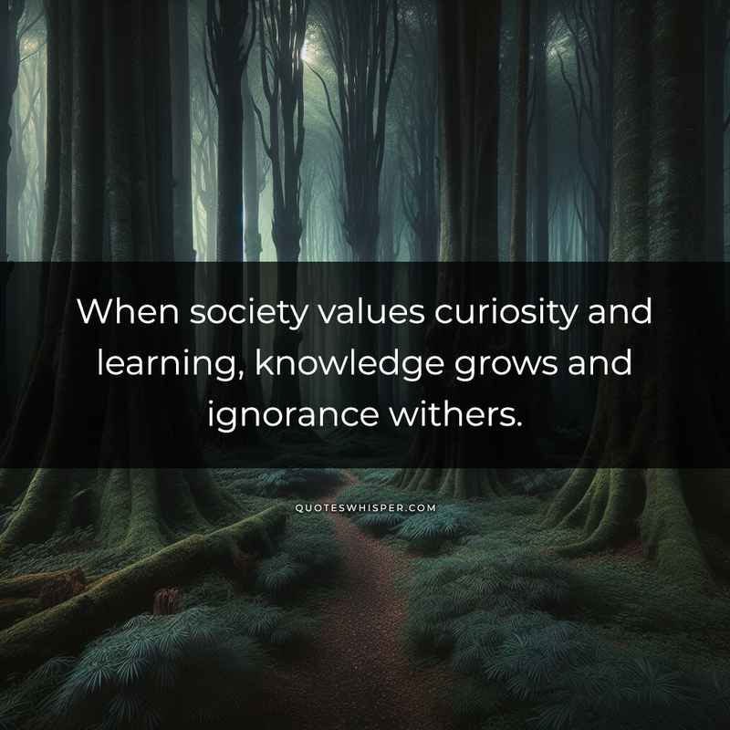 When society values curiosity and learning, knowledge grows and ignorance withers.