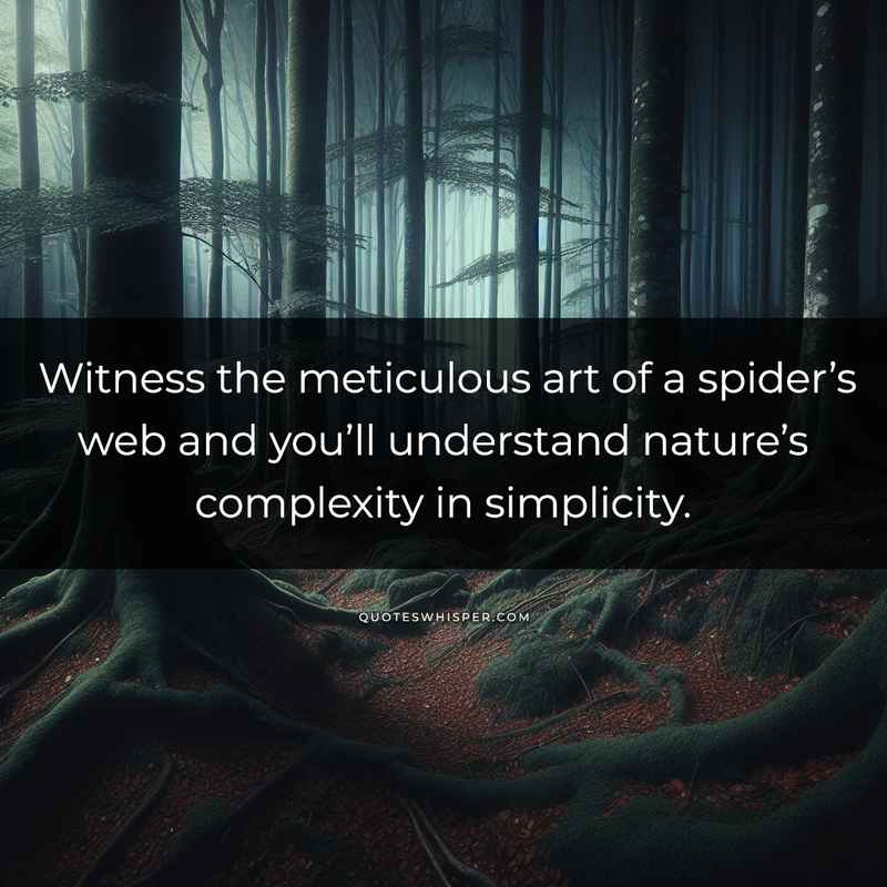 Witness the meticulous art of a spider’s web and you’ll understand nature’s complexity in simplicity.