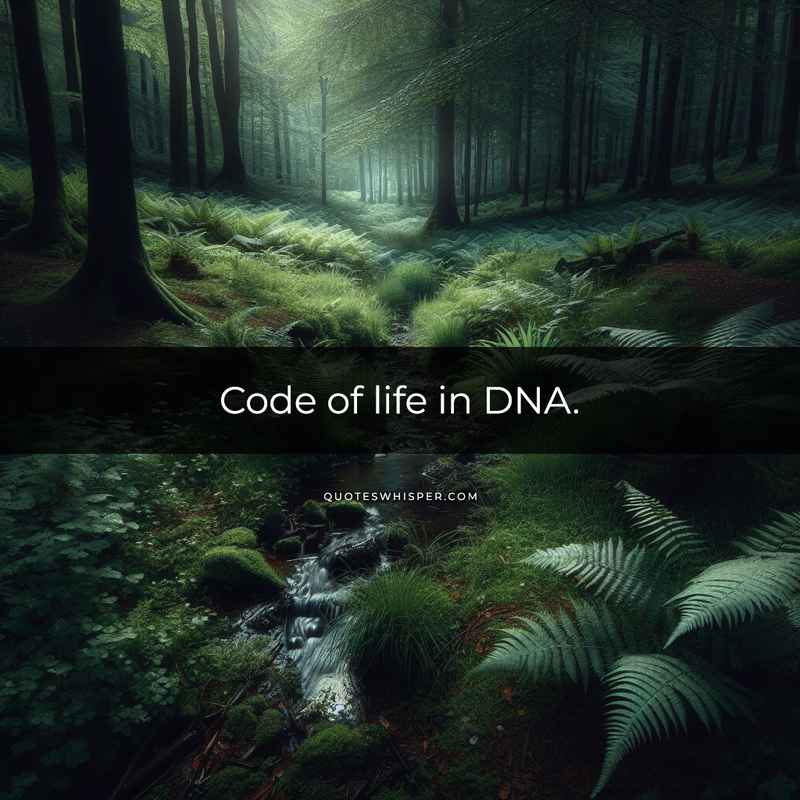 Code of life in DNA.