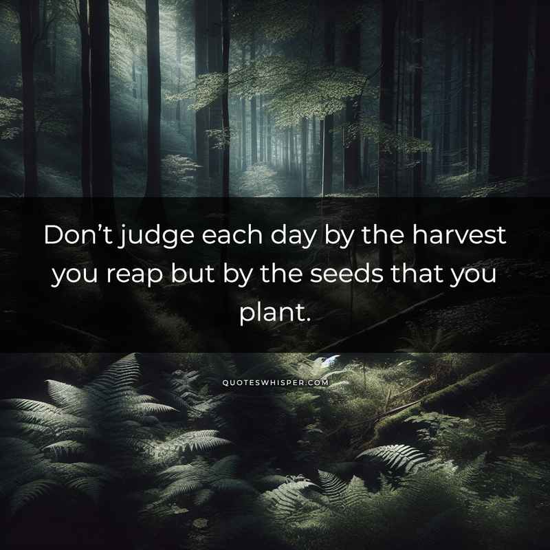 Don’t judge each day by the harvest you reap but by the seeds that you plant.