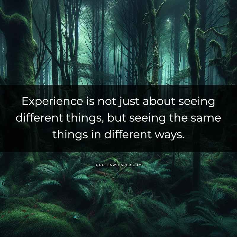 Experience is not just about seeing different things, but seeing the same things in different ways.