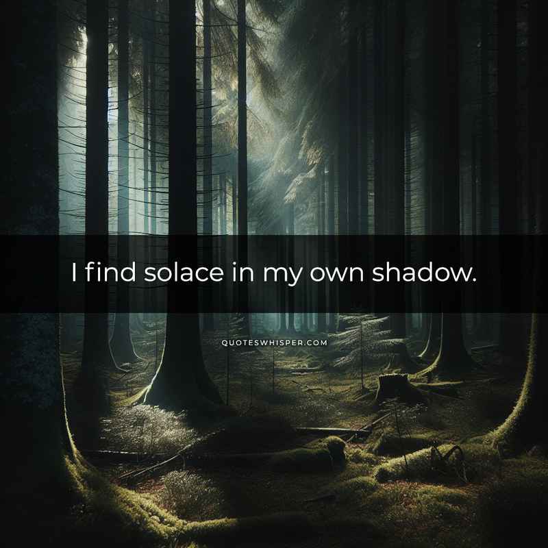 I find solace in my own shadow.