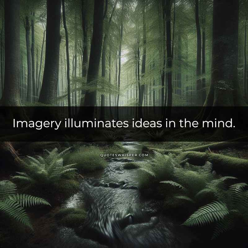 Imagery illuminates ideas in the mind.