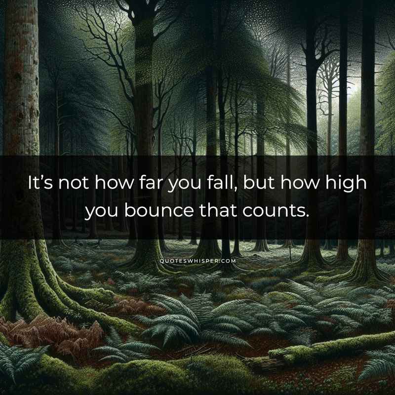It’s not how far you fall, but how high you bounce that counts.