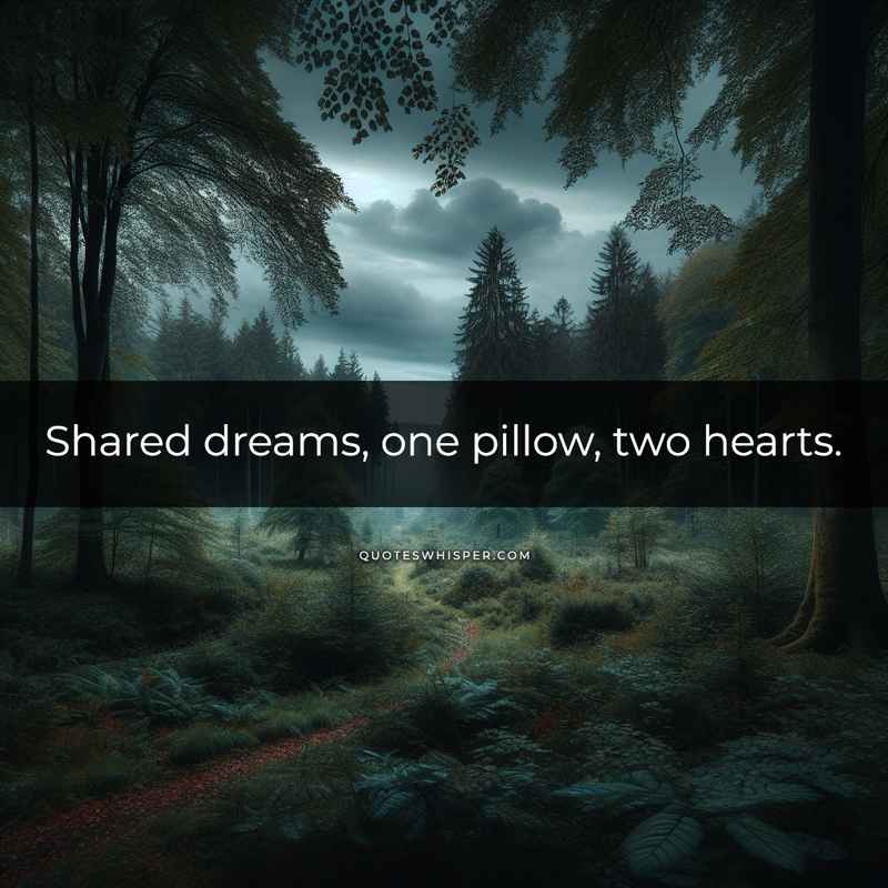 Shared dreams, one pillow, two hearts.