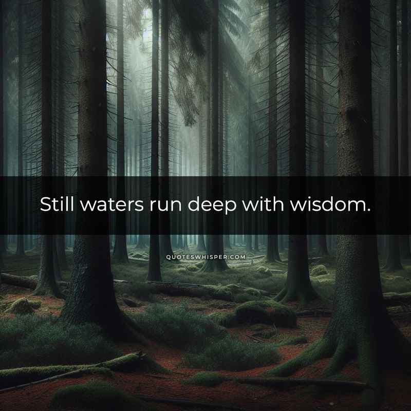 Still waters run deep with wisdom.