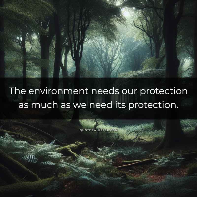 The environment needs our protection as much as we need its protection.