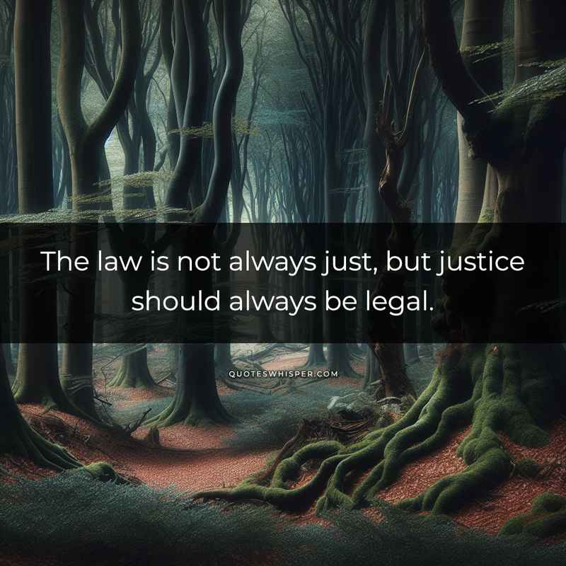 The law is not always just, but justice should always be legal.