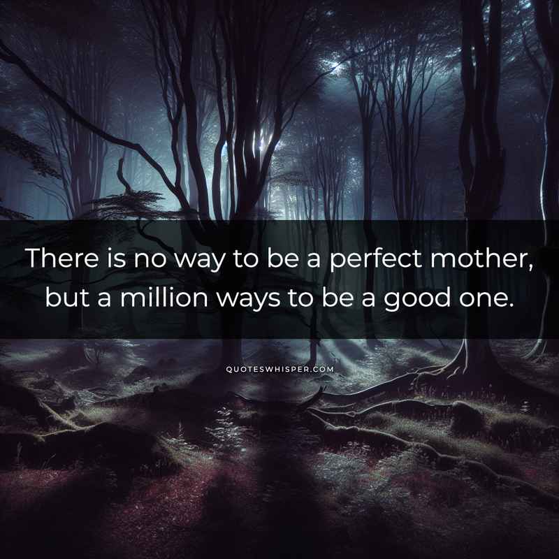 There is no way to be a perfect mother, but a million ways to be a good one.