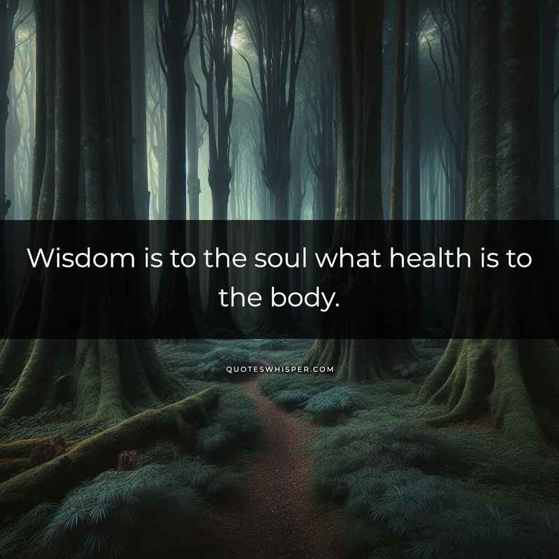 Wisdom is to the soul what health is to the body.