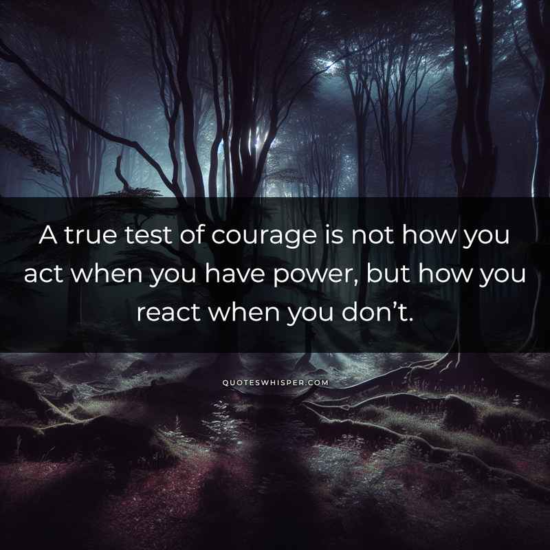 A true test of courage is not how you act when you have power, but how you react when you don’t.