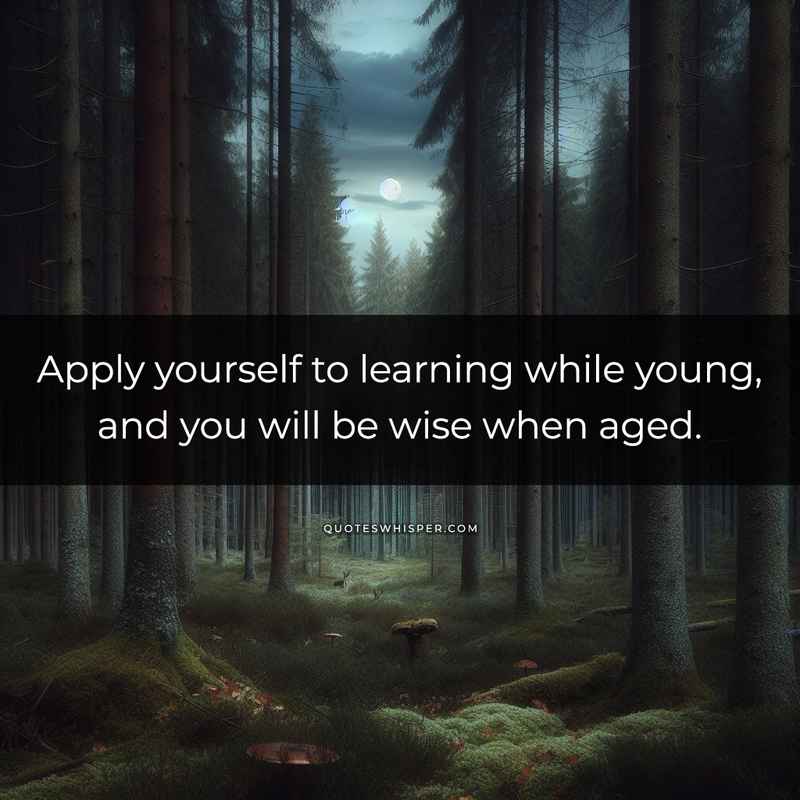 Apply yourself to learning while young, and you will be wise when aged.