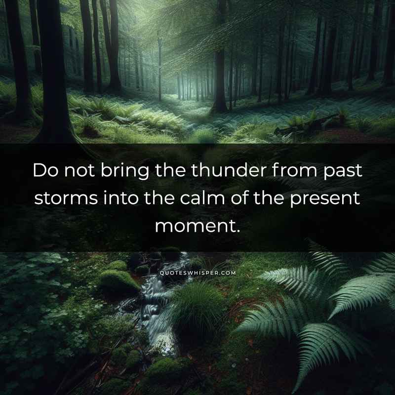 Do not bring the thunder from past storms into the calm of the present moment.