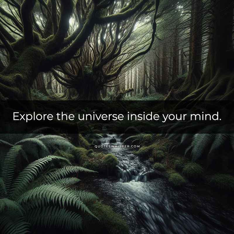 Explore the universe inside your mind.