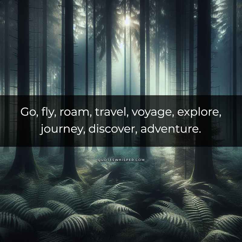 Go, fly, roam, travel, voyage, explore, journey, discover, adventure.