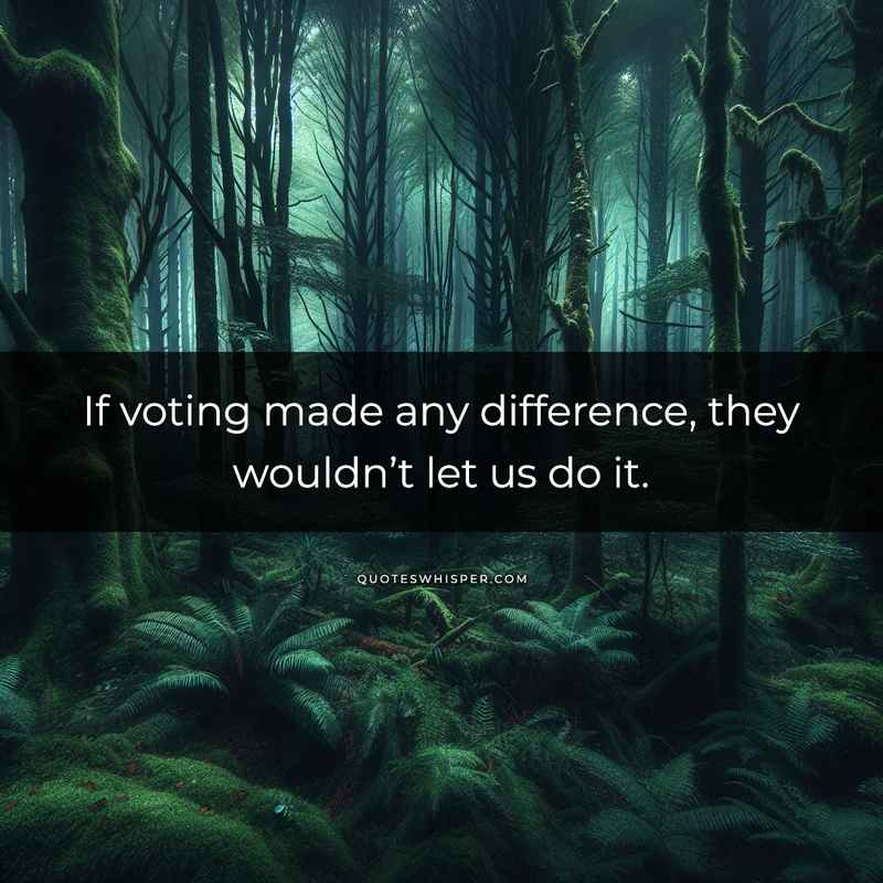 If voting made any difference, they wouldn’t let us do it.