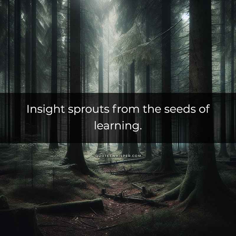 Insight sprouts from the seeds of learning.