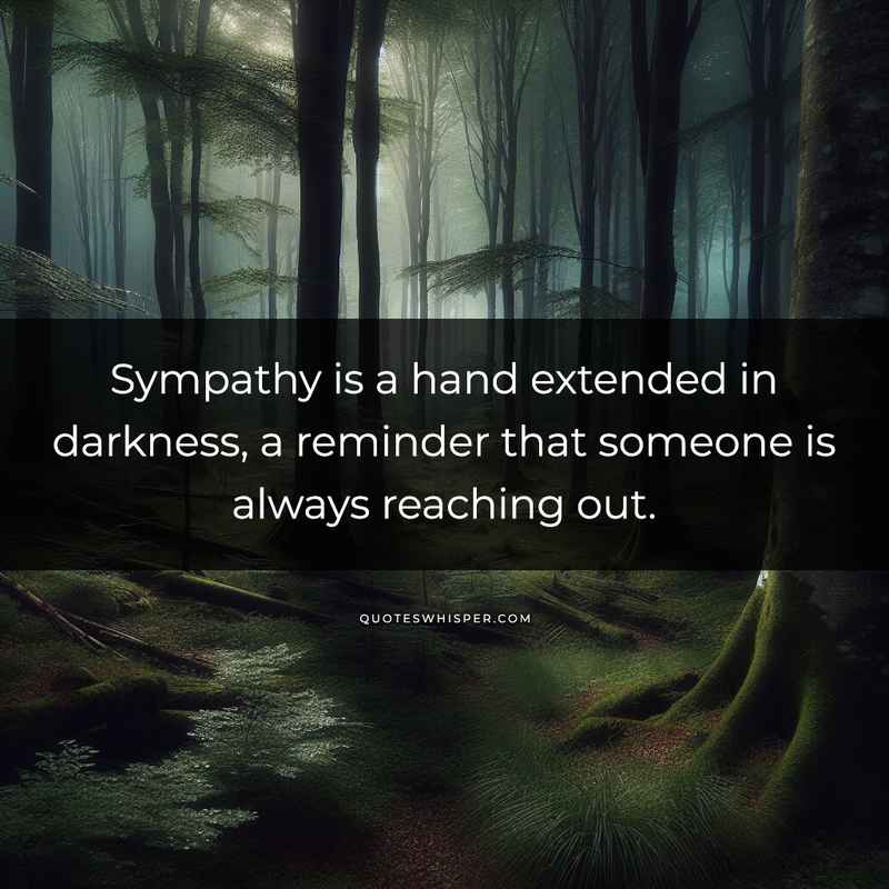 Sympathy is a hand extended in darkness, a reminder that someone is always reaching out.