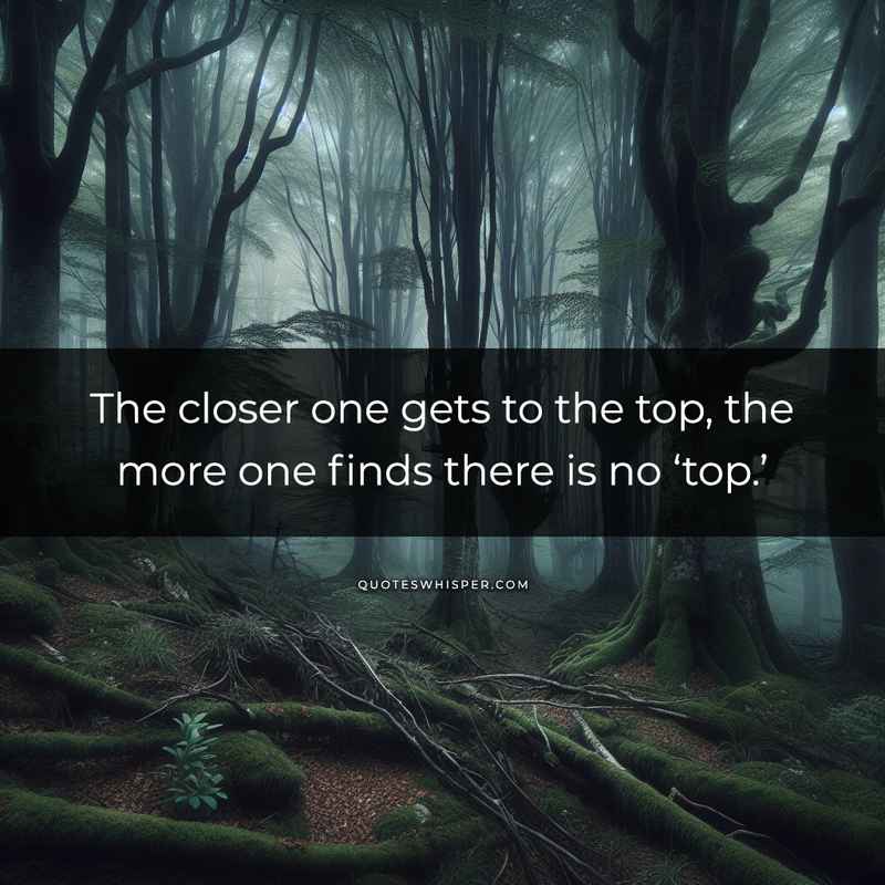 The closer one gets to the top, the more one finds there is no ‘top.’