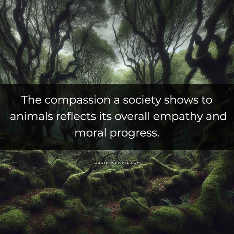 The compassion a society shows to animals reflects its overall empathy and moral progress.