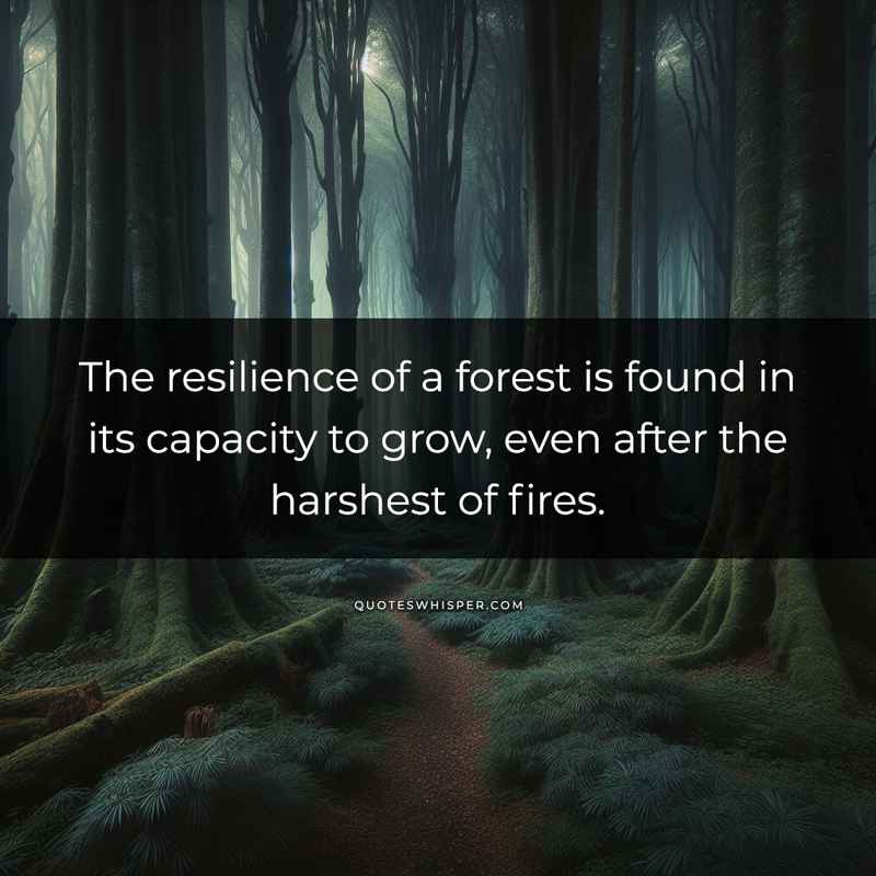The resilience of a forest is found in its capacity to grow, even after the harshest of fires.