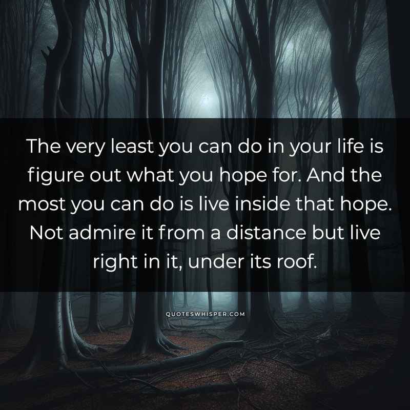 The very least you can do in your life is figure out what you hope for. And the most you can do is live inside that hope. Not admire it from a distance but live right in it, under its roof.