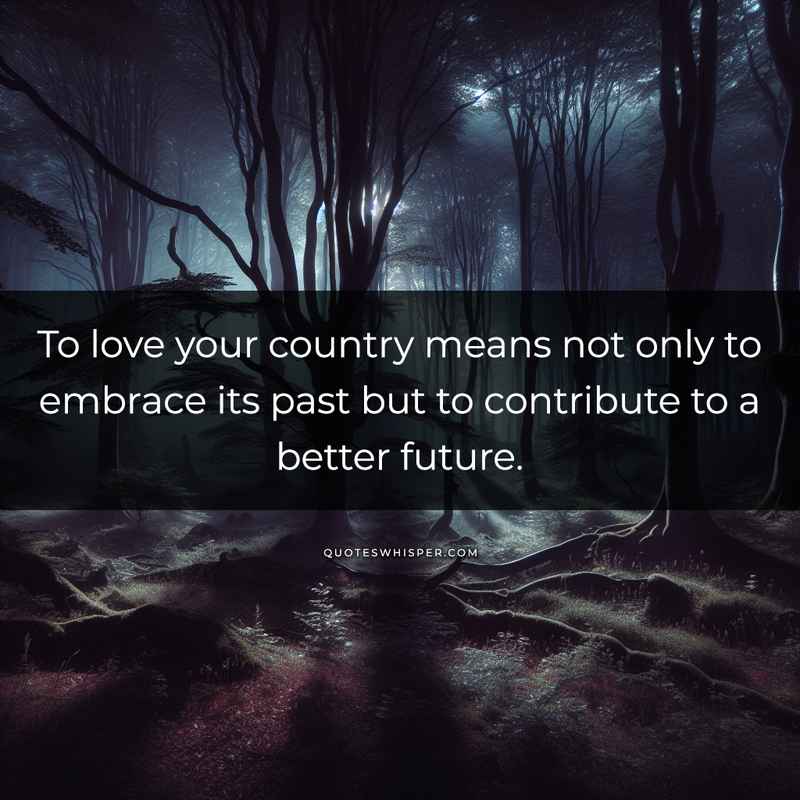 To love your country means not only to embrace its past but to contribute to a better future.