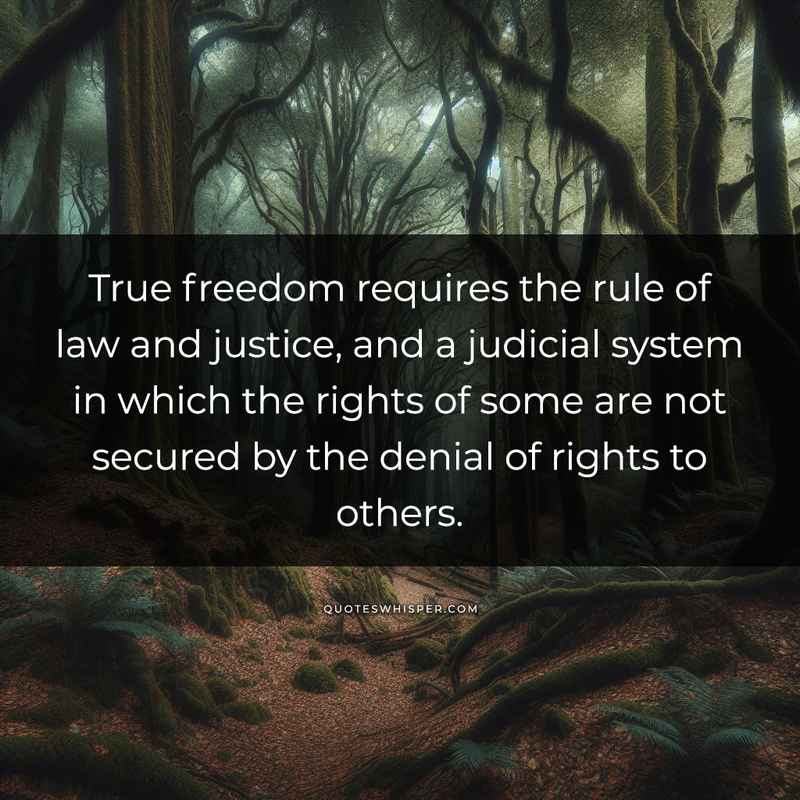 True freedom requires the rule of law and justice, and a judicial system in which the rights of some are not secured by the denial of rights to others.