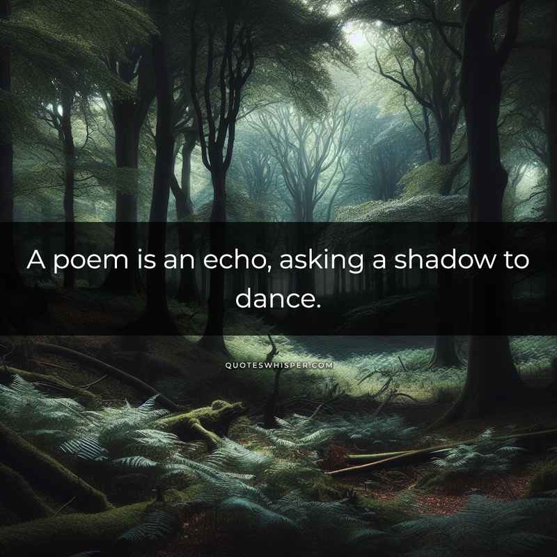 A poem is an echo, asking a shadow to dance.
