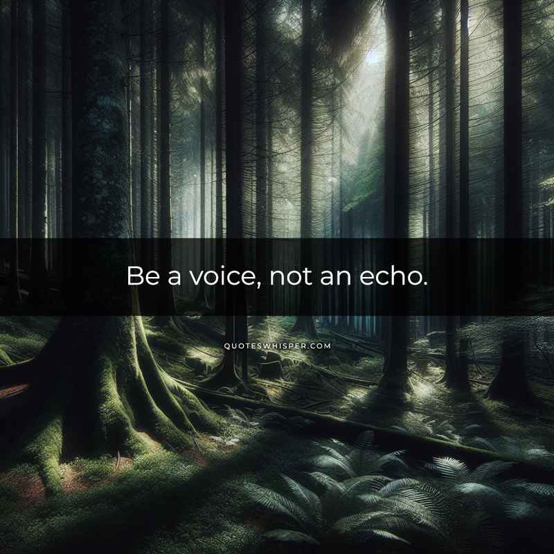 Be a voice, not an echo.