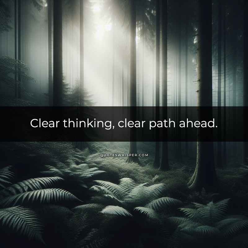 Clear thinking, clear path ahead.