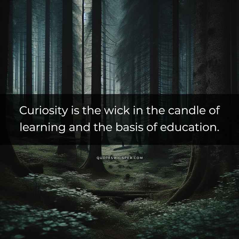 Curiosity is the wick in the candle of learning and the basis of education.
