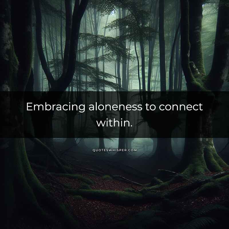 Embracing aloneness to connect within.