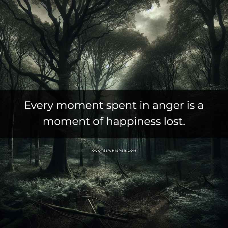 Every moment spent in anger is a moment of happiness lost.