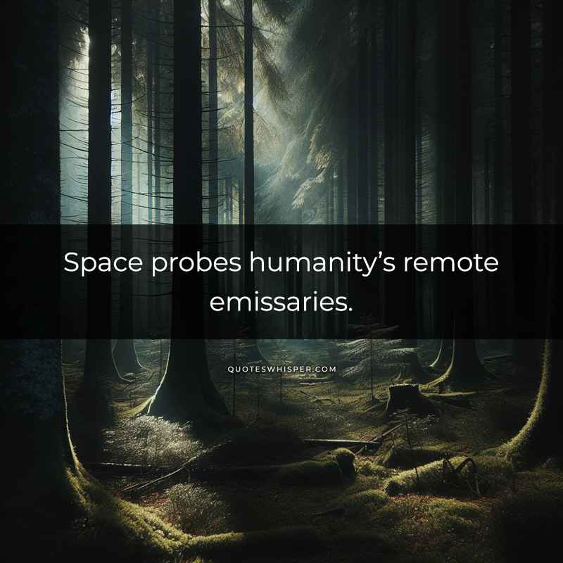 Space probes humanity’s remote emissaries.