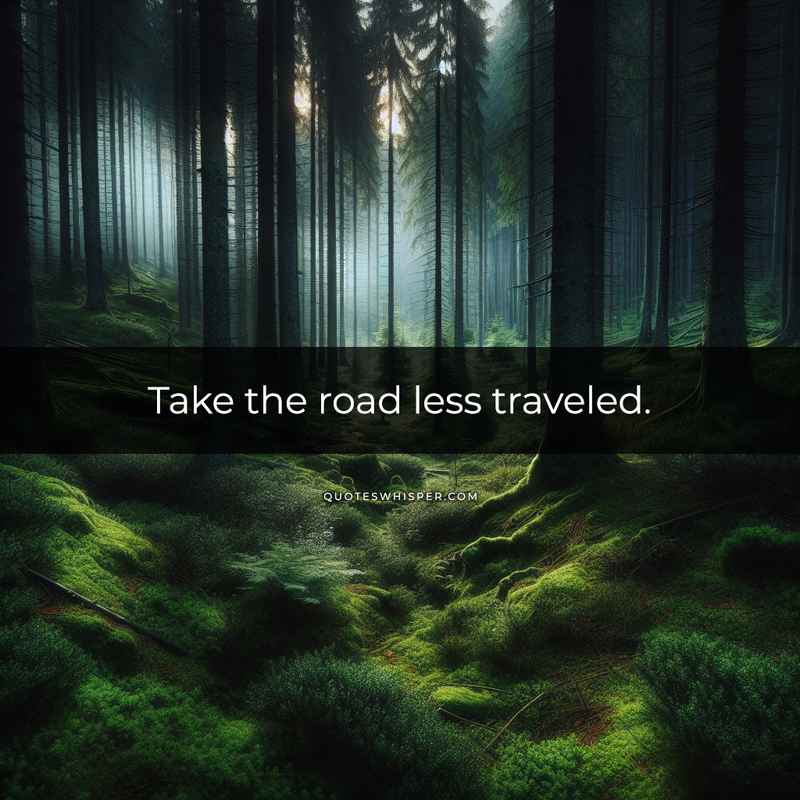 Take the road less traveled.