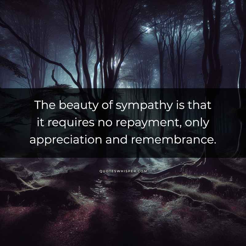The beauty of sympathy is that it requires no repayment, only appreciation and remembrance.