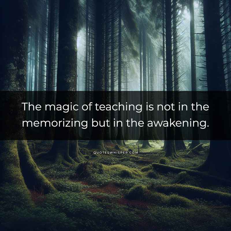 The magic of teaching is not in the memorizing but in the awakening.