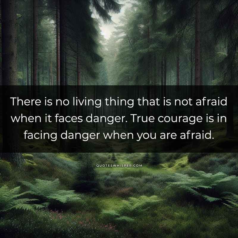 There is no living thing that is not afraid when it faces danger. True courage is in facing danger when you are afraid.